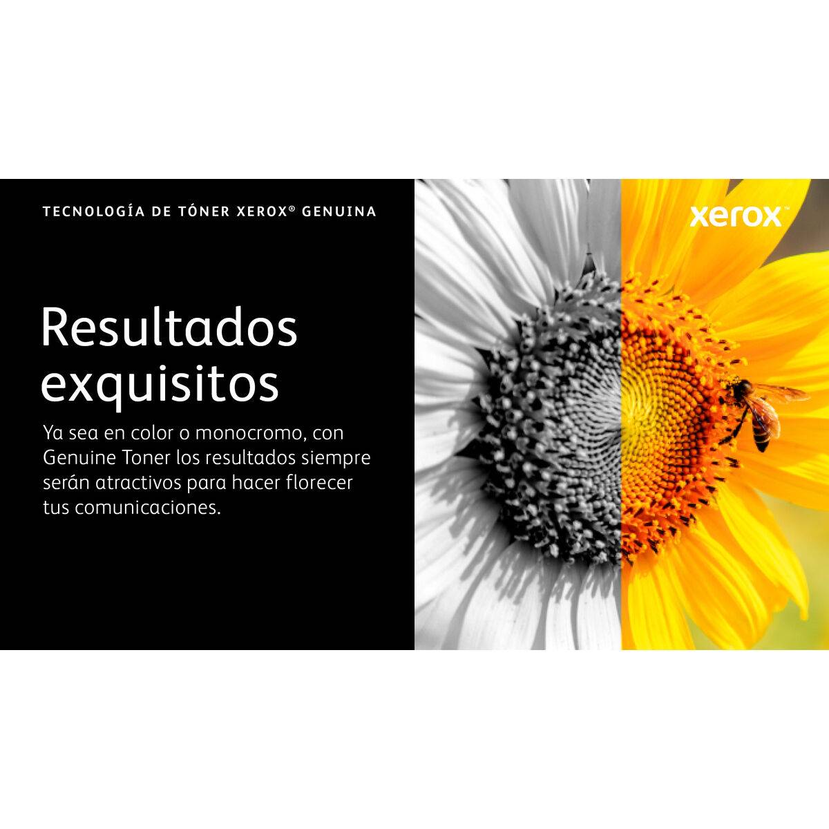 Cartucho de Tinta Original Xerox 006R04668 Negro