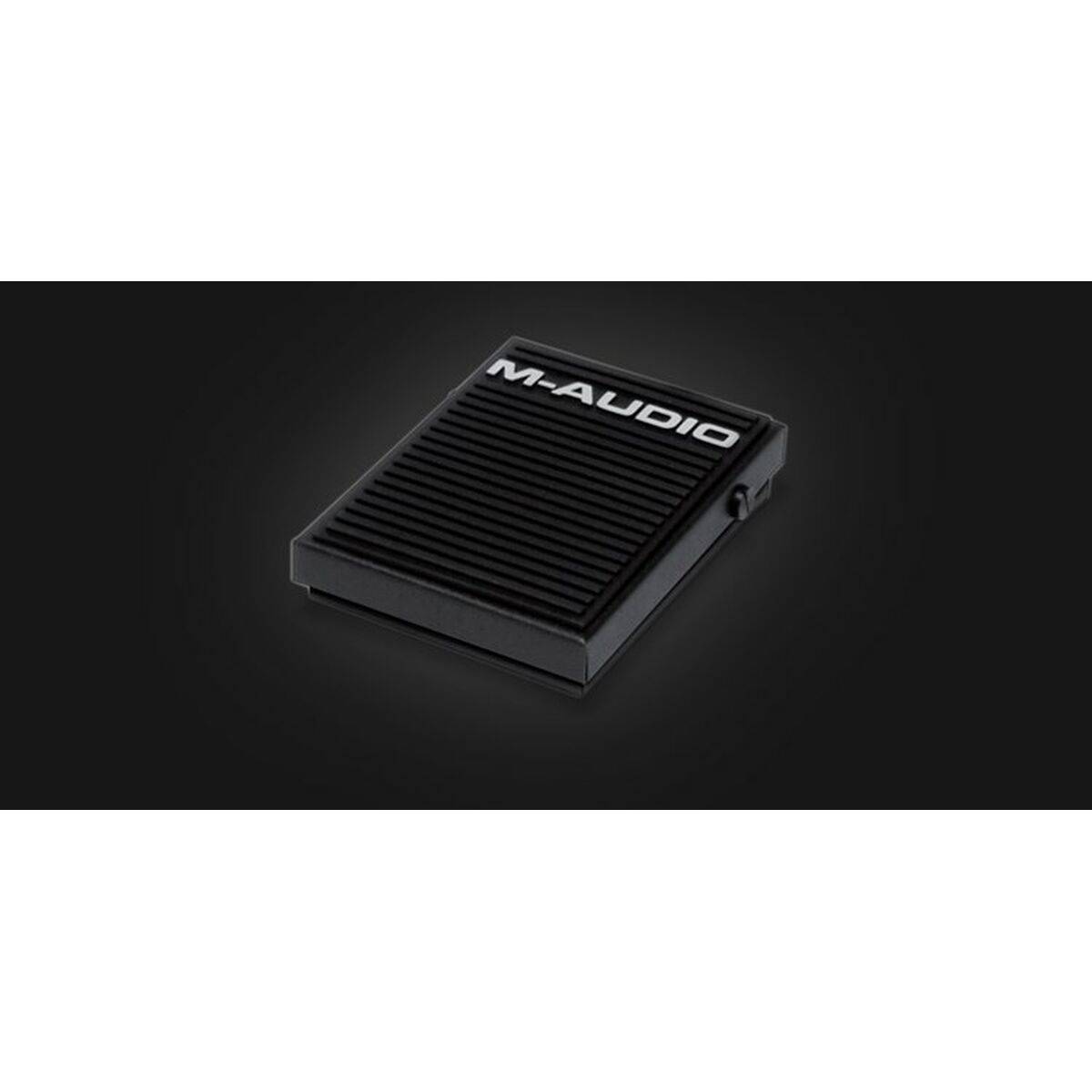 Pedales M-Audio SP-1