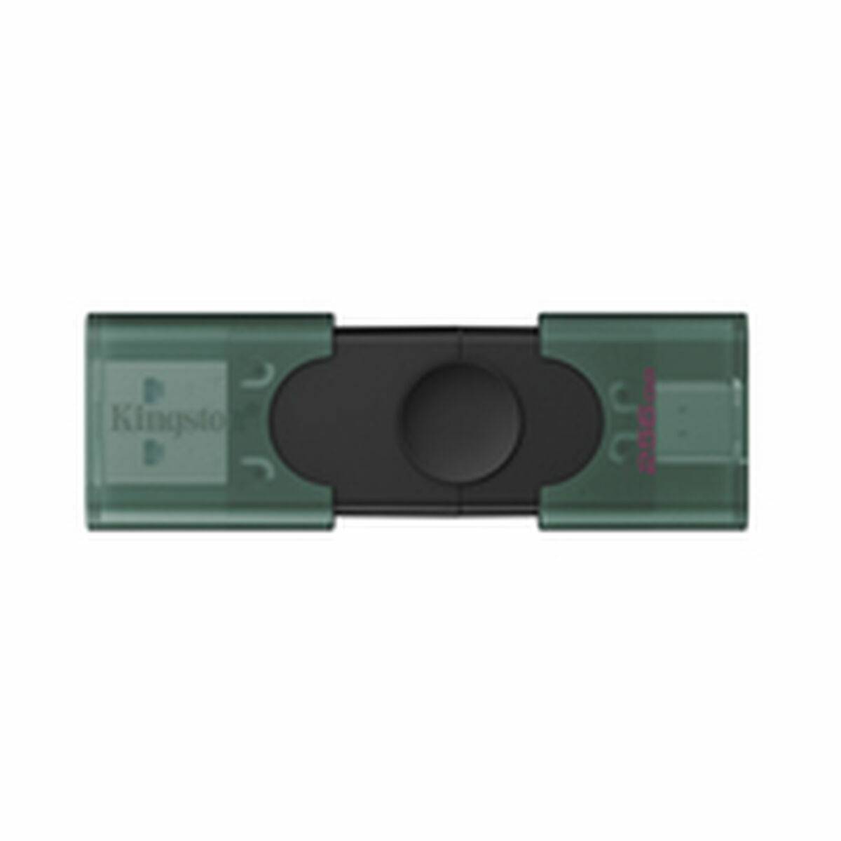 Memoria USB Kingston DTDEG2/256GB 256 GB