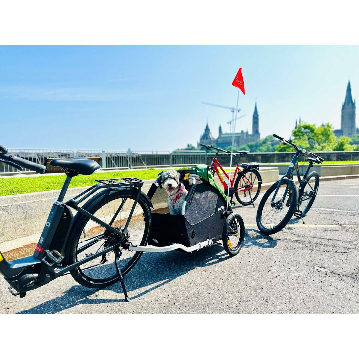 Remolque para bicicleta Burley BU-947108