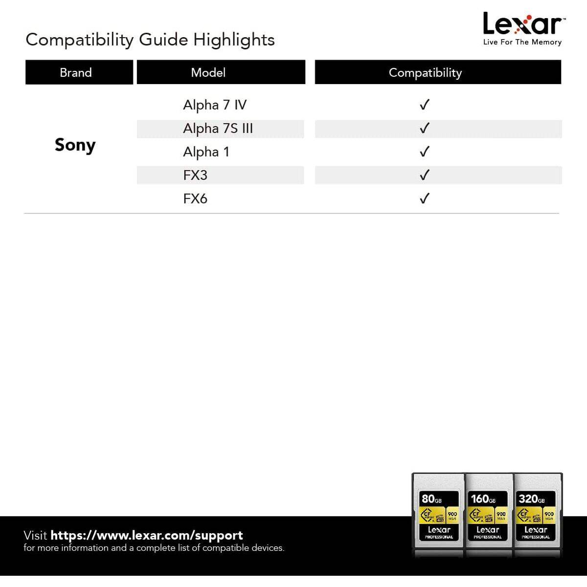 Memoria USB Lexar LCAGOLD160G-RNENG Negro