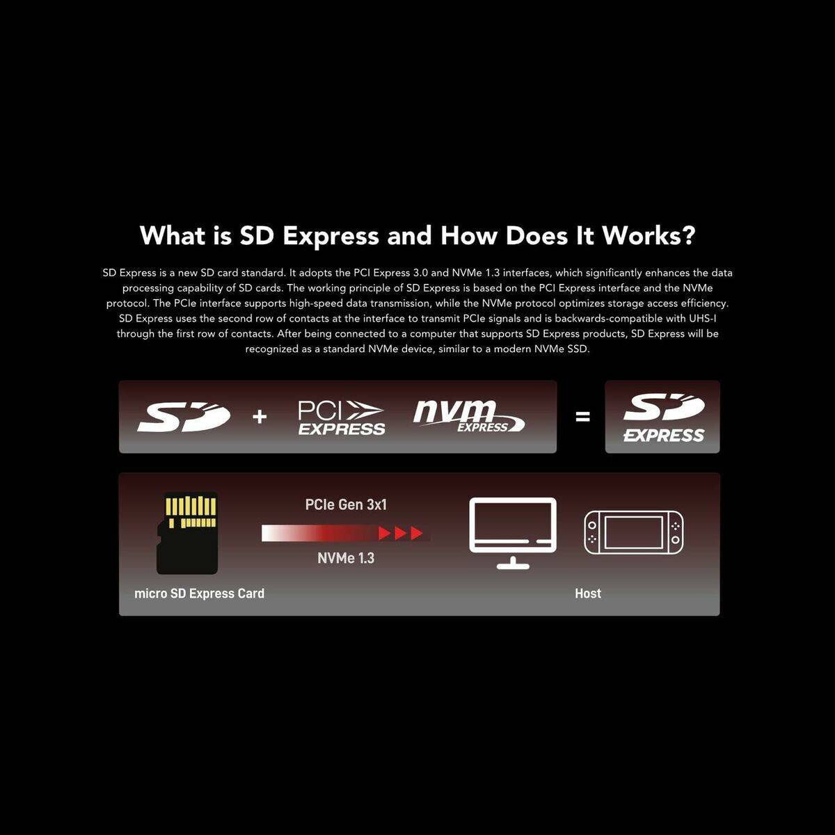 Tarjeta de Memoria Micro SDXC Lexar LMSXPS0256G-BNNNG Negro Rojo 256 GB