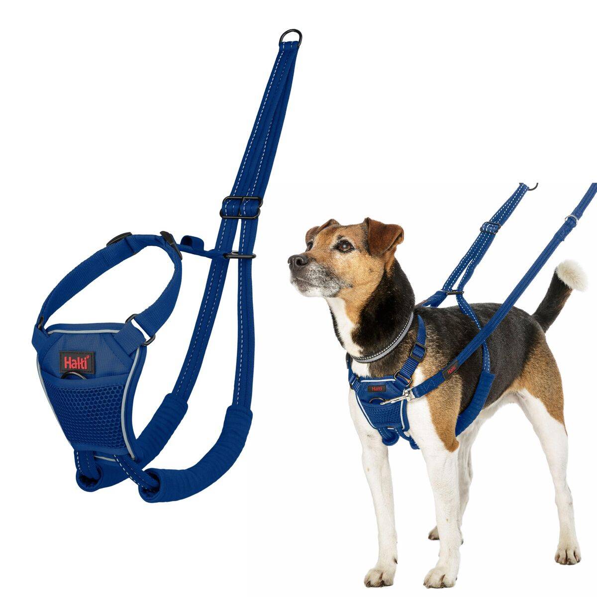 Arnés para Perro Company of Animals Blue 20