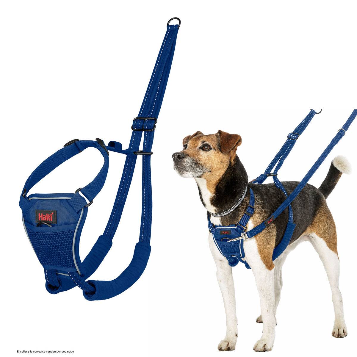 Arnés para Perro Company of Animals Blue 20