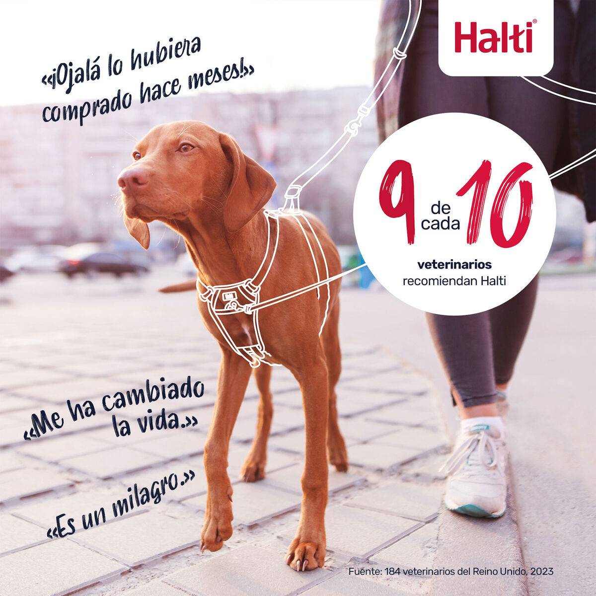 Arnés para Perro Company of Animals COBALT Azul L