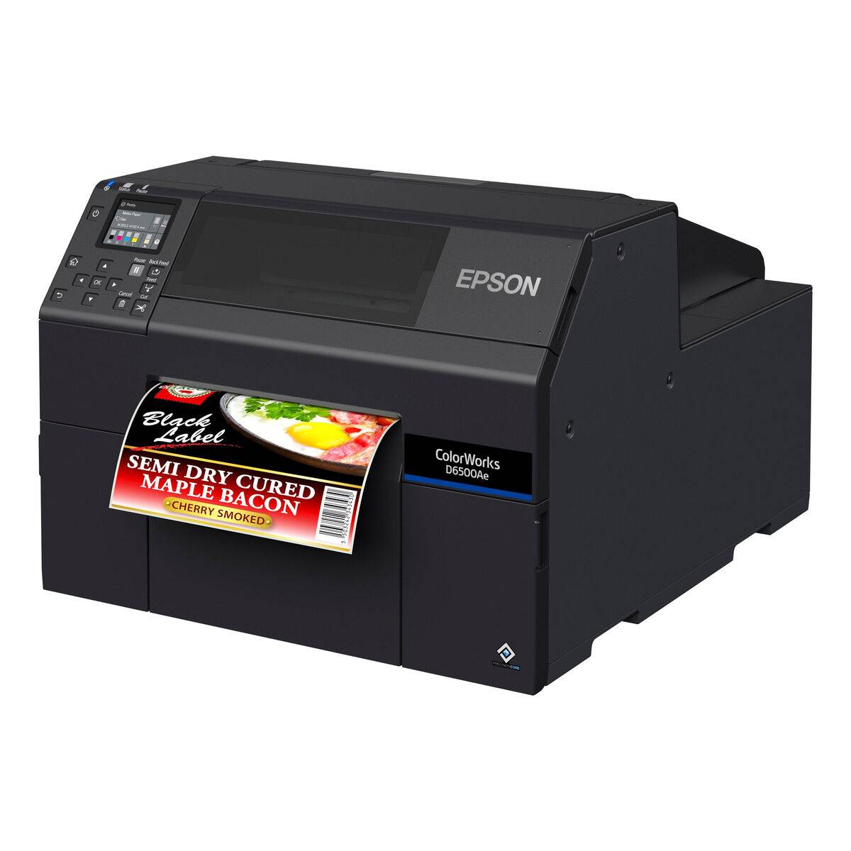 Impresora Fotográfica Epson C31CL91102