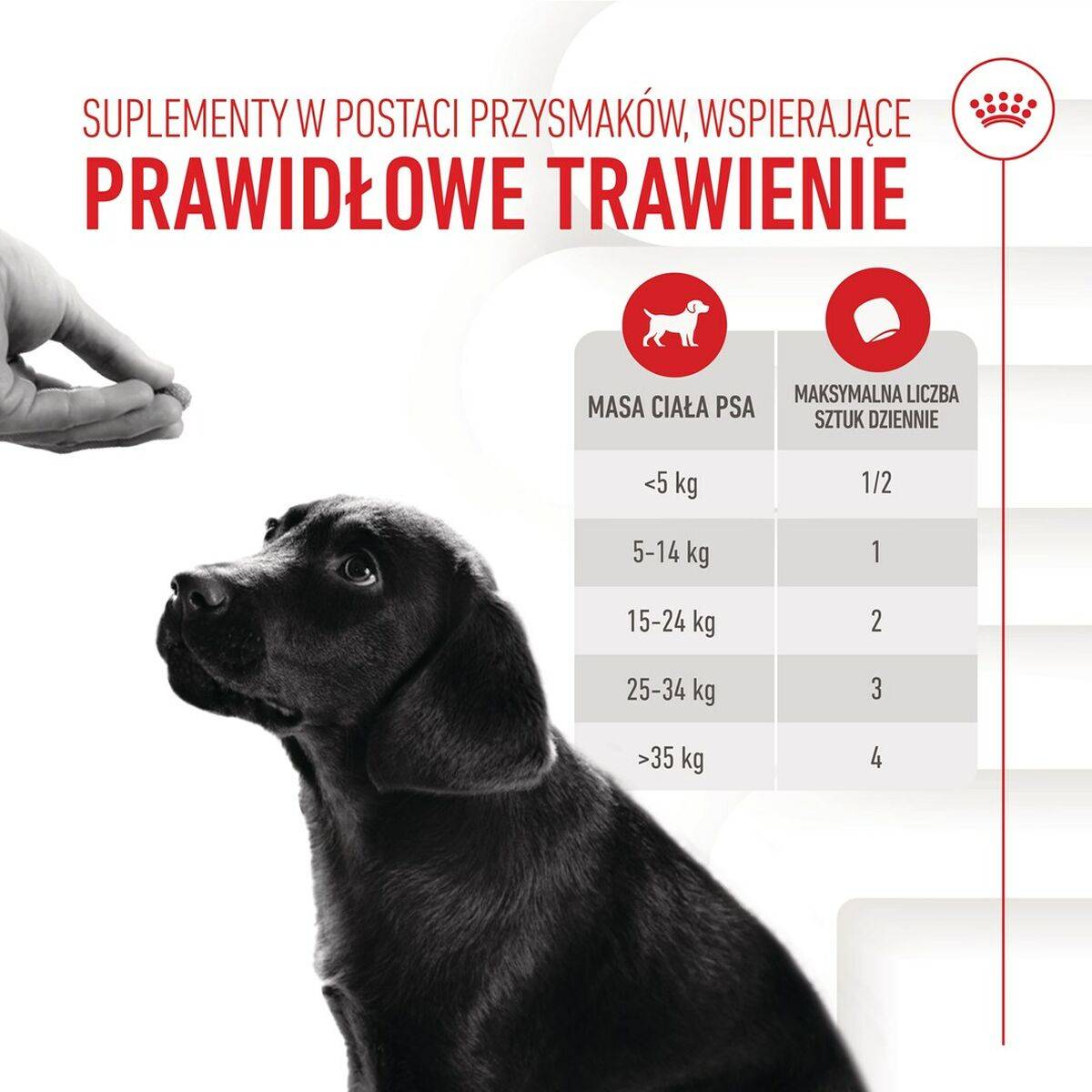 Suplemento para articulaciones Royal Canin Immunity & Digest Puppy 100 g