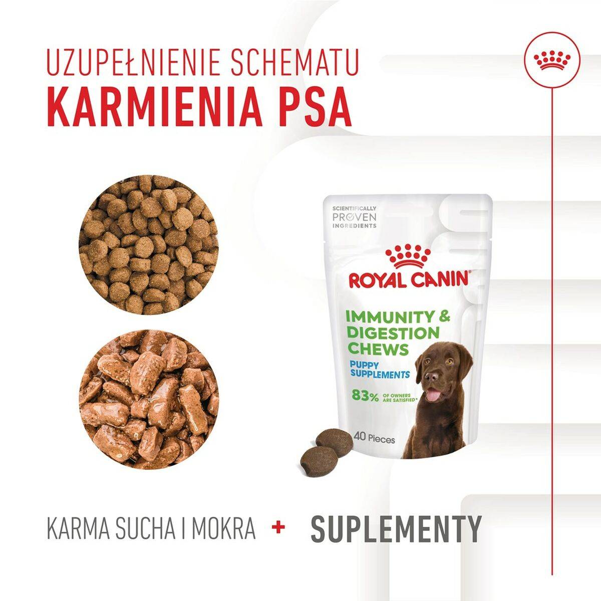 Suplemento para articulaciones Royal Canin Immunity & Digest Puppy 100 g