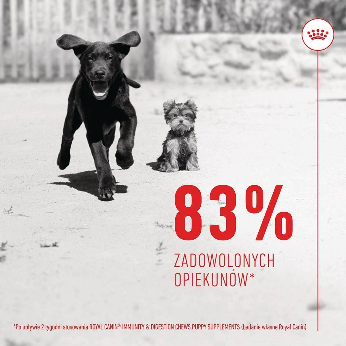 Suplemento para articulaciones Royal Canin Immunity & Digest Puppy 100 g