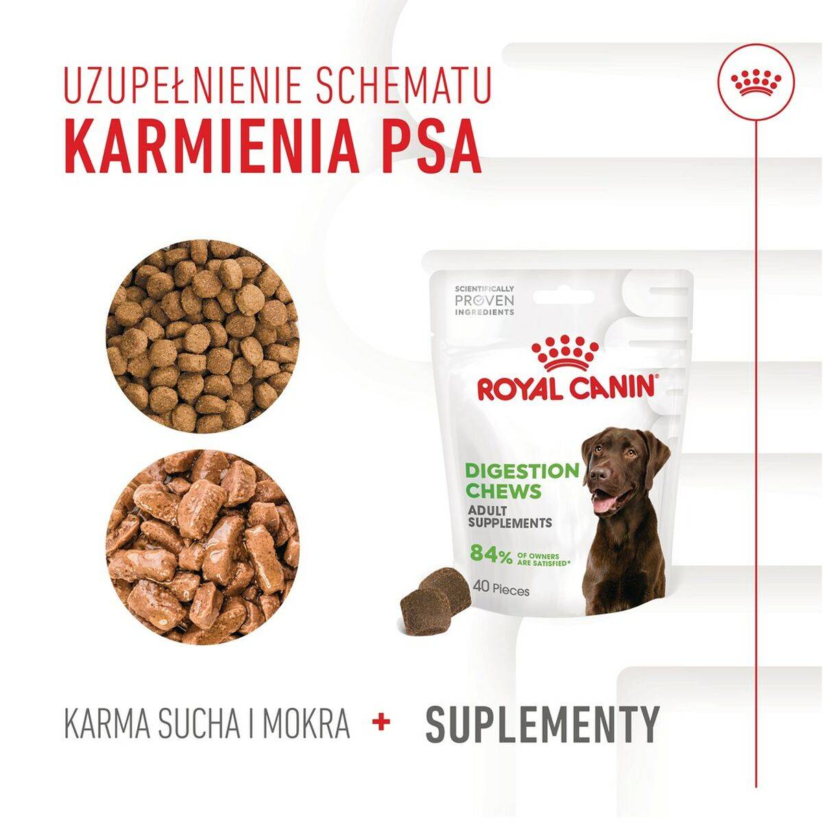 Suplemento para articulaciones Royal Canin Supplements Dog Digestion Adult