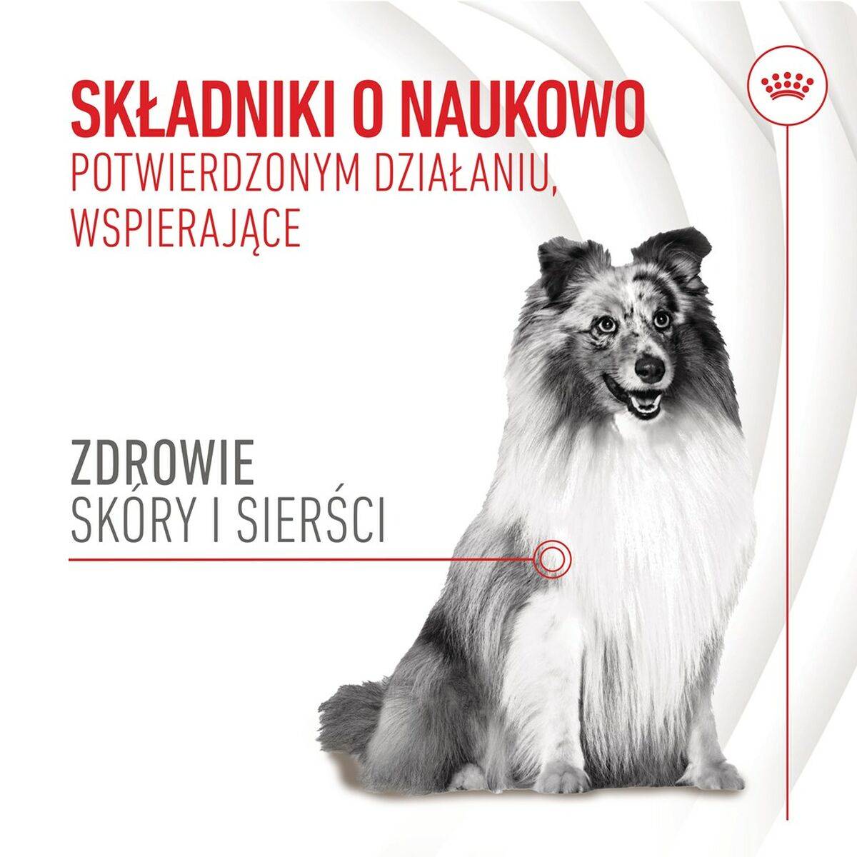 Snack para Perros Royal Canin 240 g