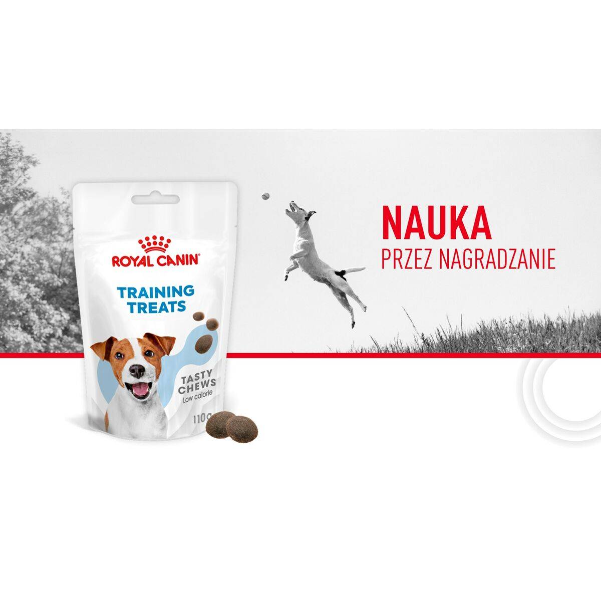 Snack para Perros Royal Canin Training Treats 110 g