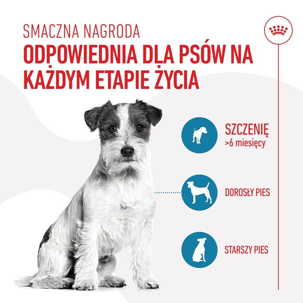 Snack para Perros Royal Canin Training Treats 110 g