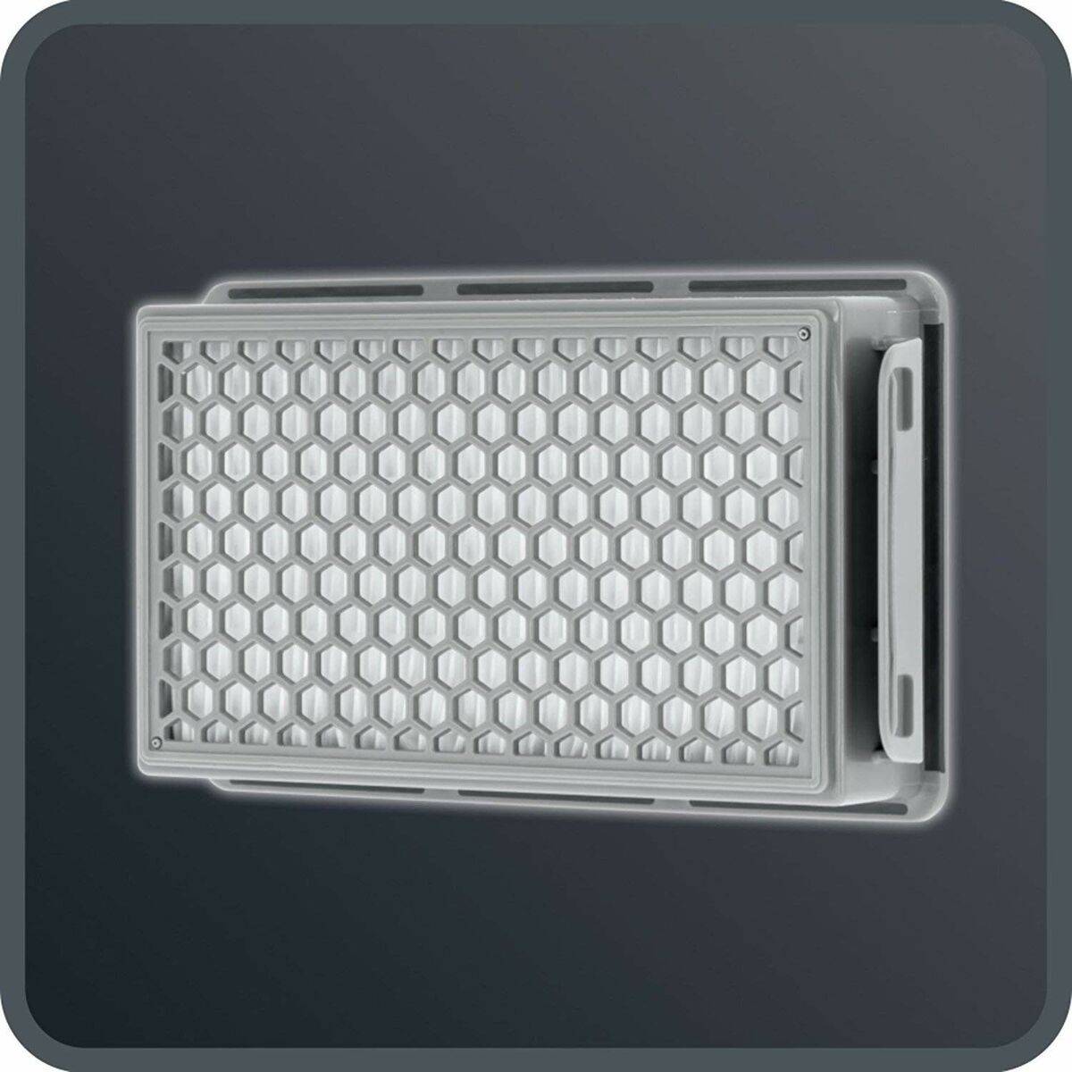 Aspiradora con Bolsa Rowenta 900 W