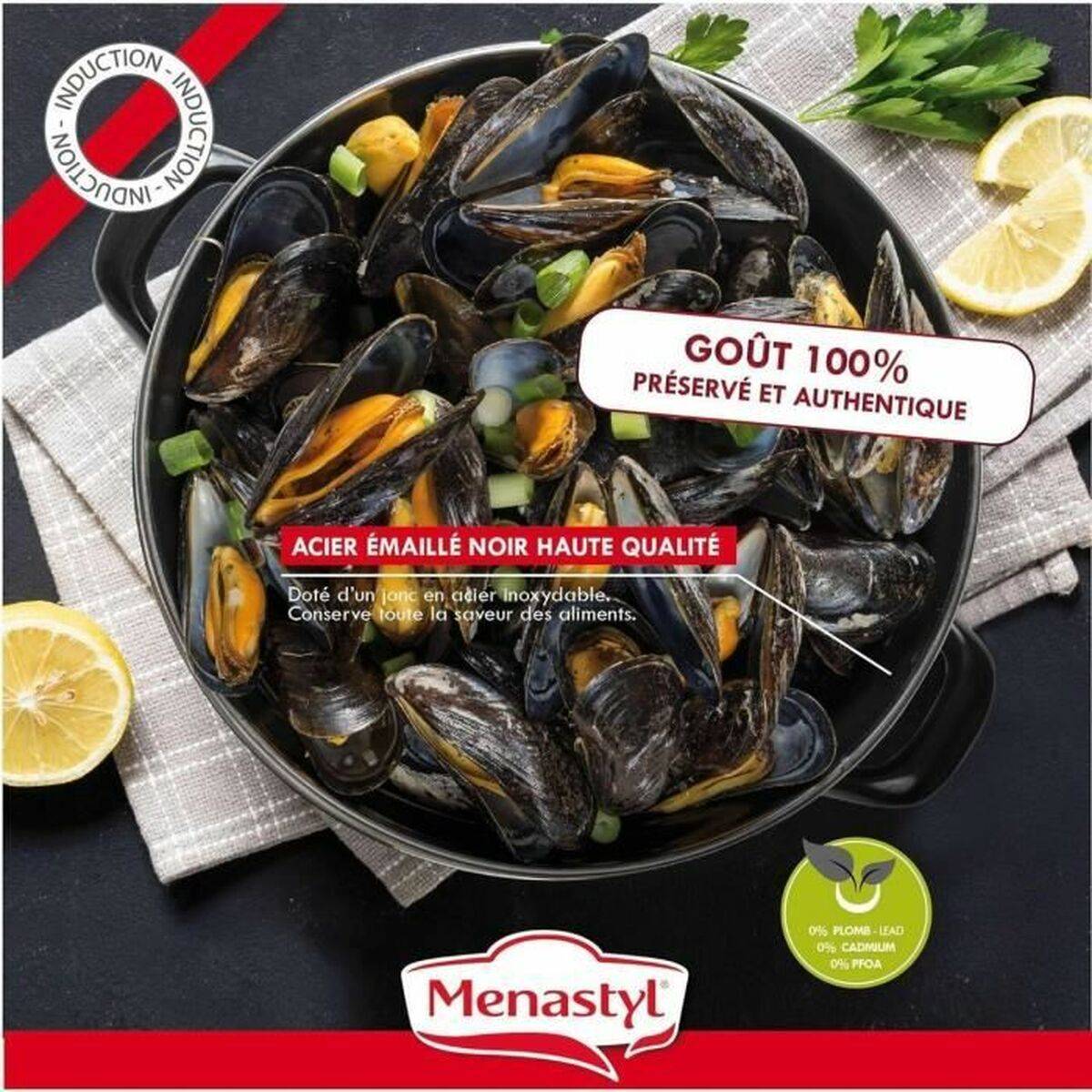 Olla Menastyl Negro Acero esmaltado vitrificado