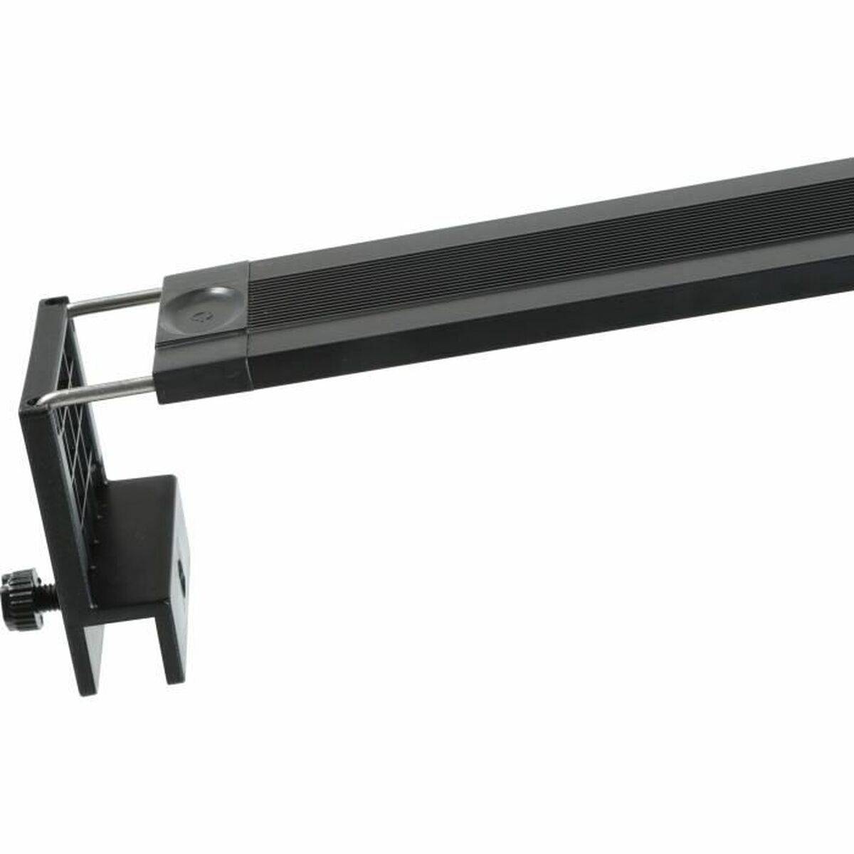 Tiras LED Zolux 300 cm Blanco Frío