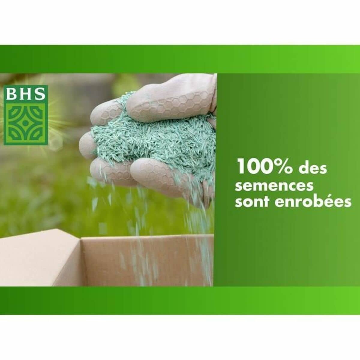 Semillas BHS 10 kg