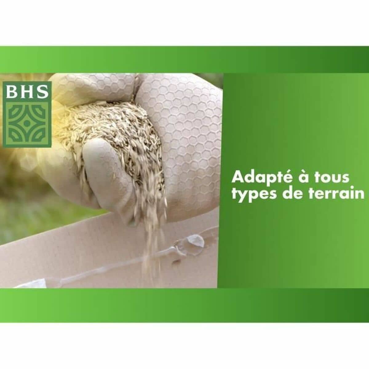 Semillas BHS 3 Kg