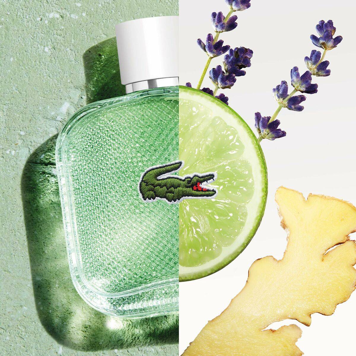 Perfume Hombre Lacoste L.12.12 Blanc Fraiche EDT 100 ml