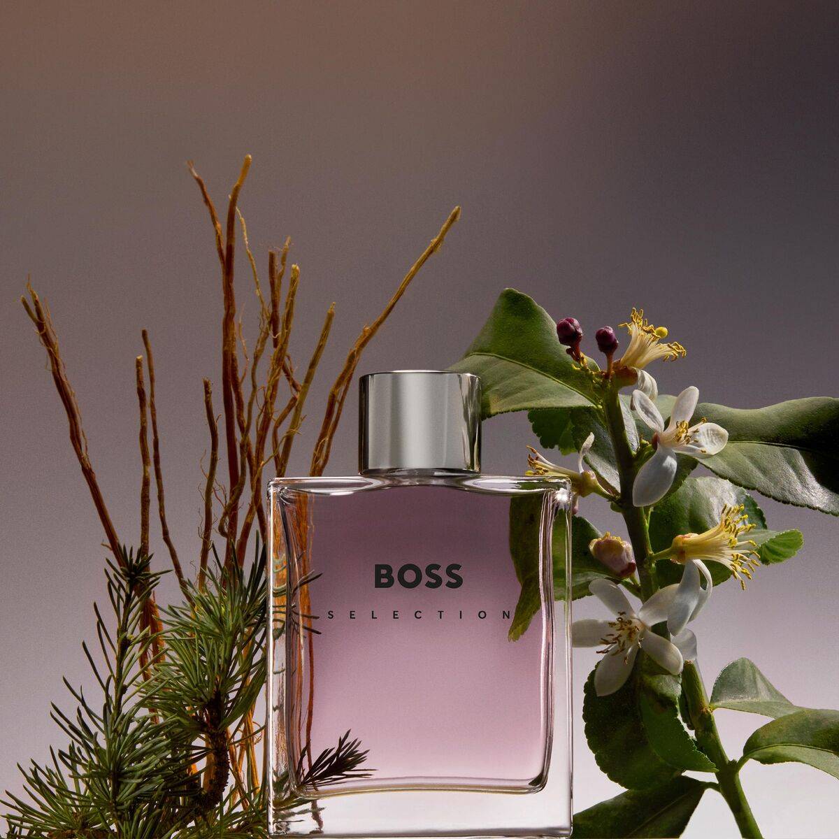 Perfume Unisex BOSS BOSS SELECTION 100 ml