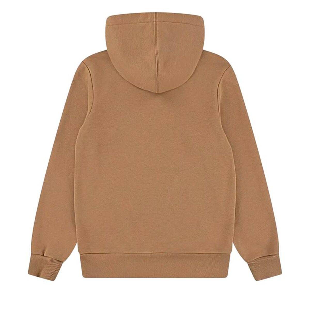 Sudadera con Capucha Niño Levi's Batwing Screenprint Hoodie Marrón