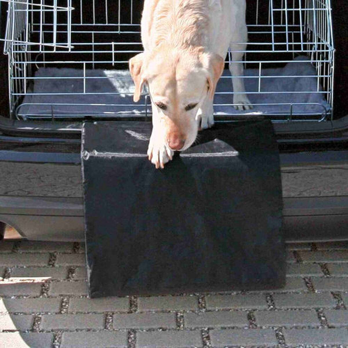Funda Protectora de Coche para Mascotas Trixie Negro 50 × 70 cm