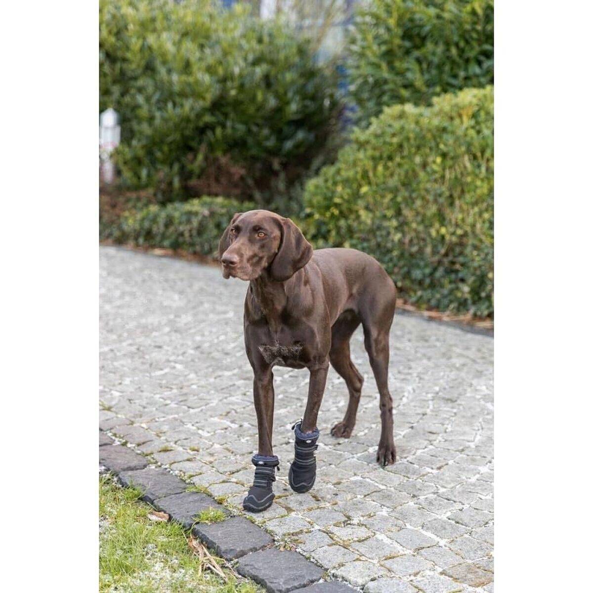 Zapatos para perros Trixie 19410 Negro