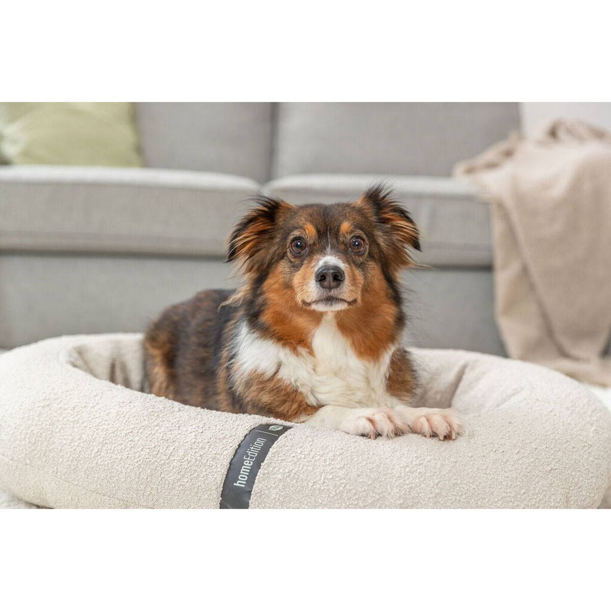 Cama para Perro Trixie Vital CityStyle Crema 75 x 60 cm