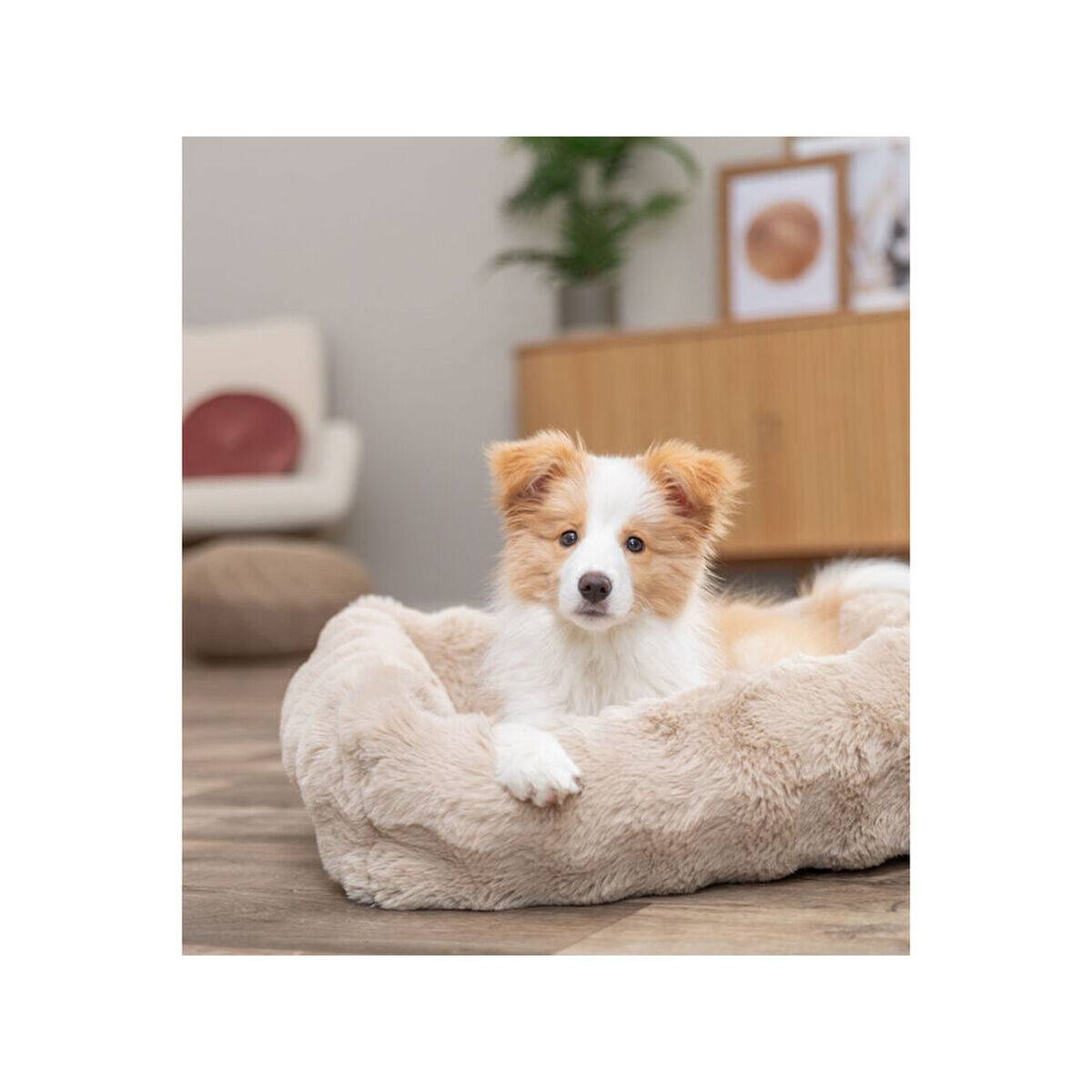 Cama para Perro Trixie Arena 60 × 50 cm