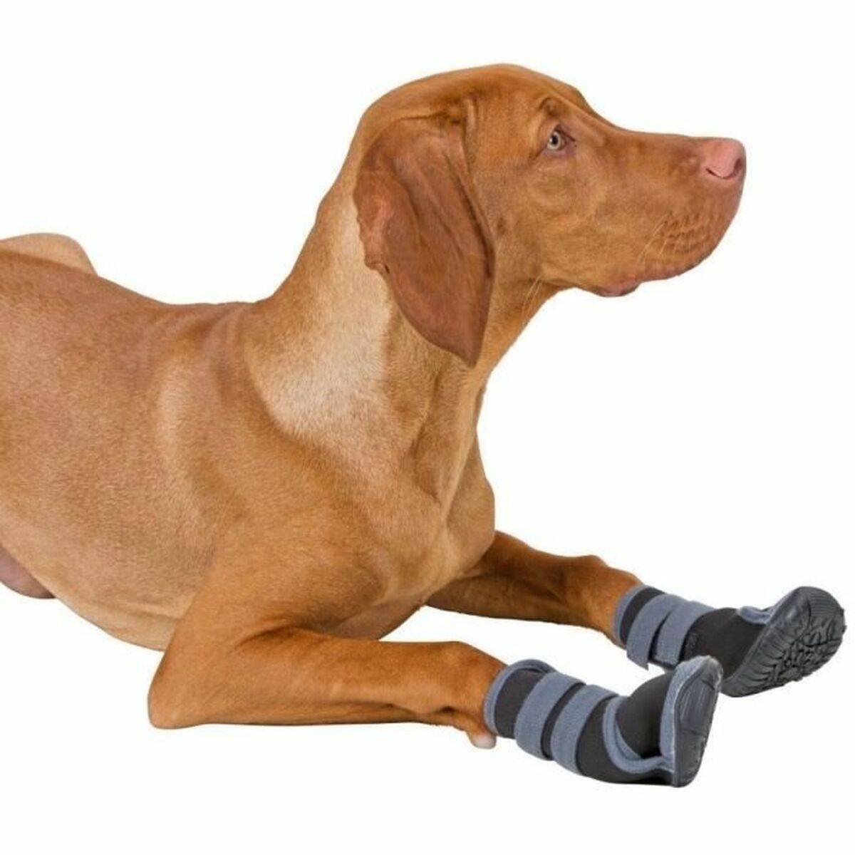 Zapatos para perros Kerbl Negro XL