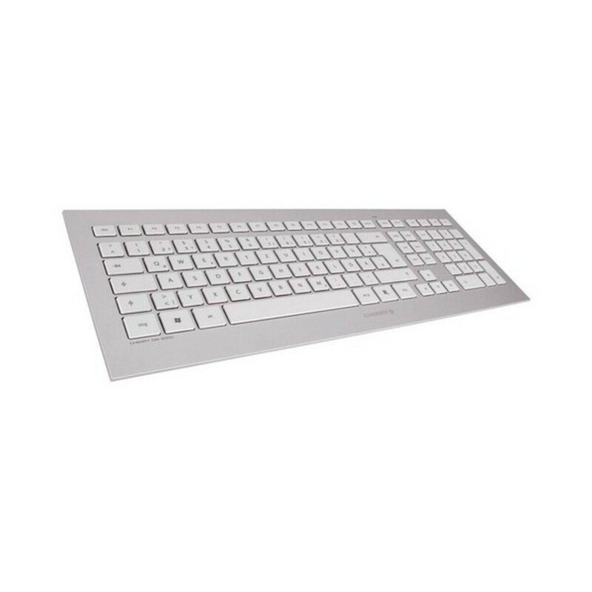 Teclado y Ratón Gaming Cherry DW 8000