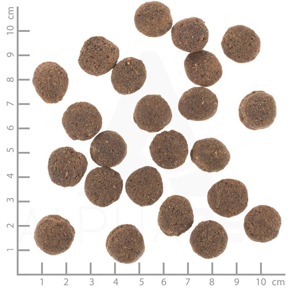 Pienso Wolfsblut Adulto Carne Caballo 12 kg