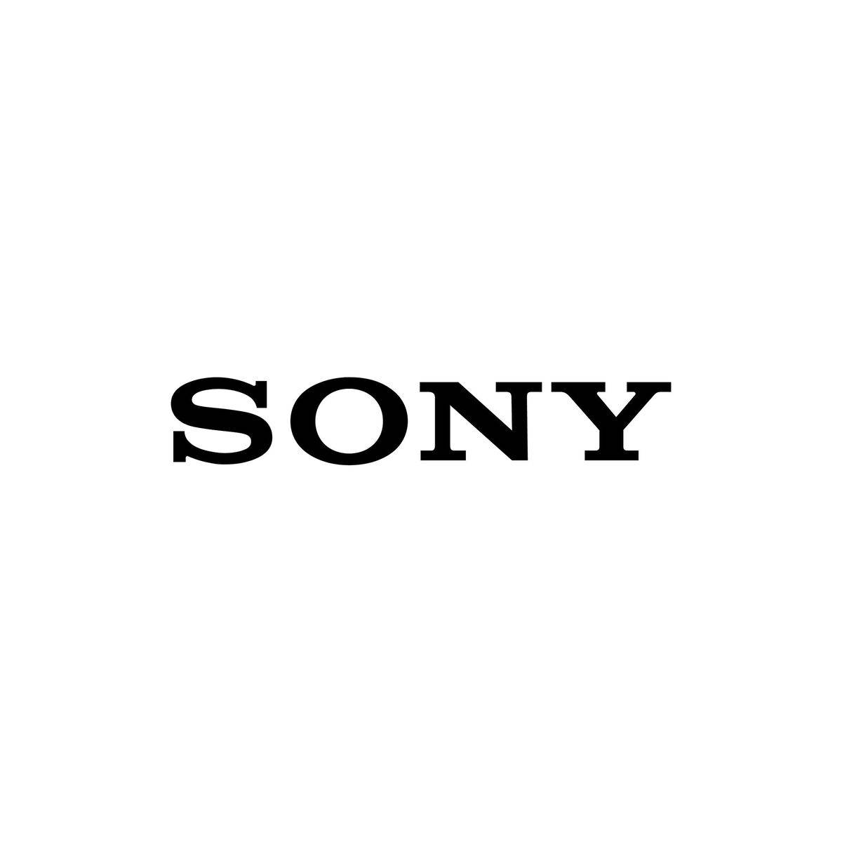 Lector de Tarjetas Externo Sony MRWG2.SYM Negro