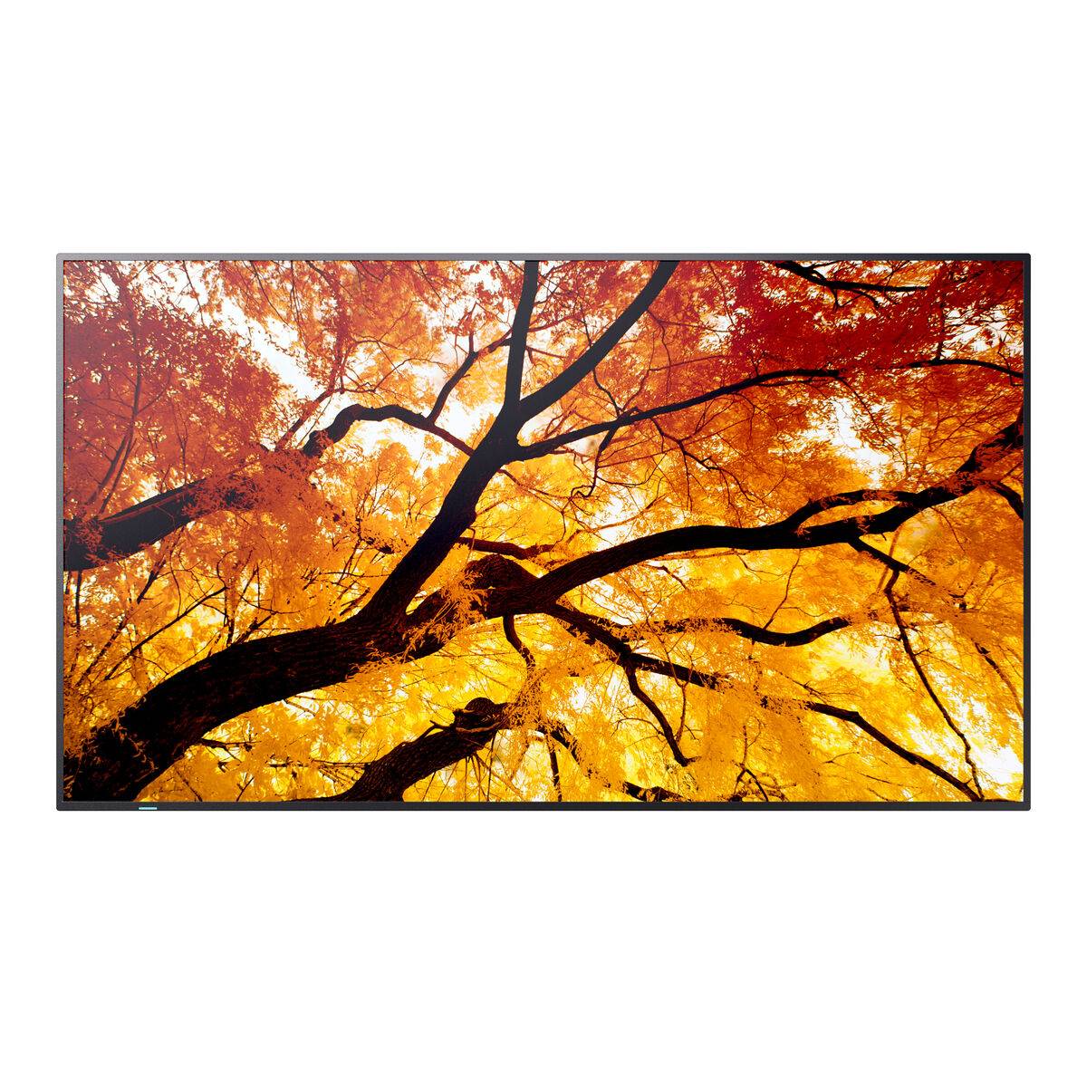Monitor Videowall Sharp 60006053 4K Ultra HD 42,5"