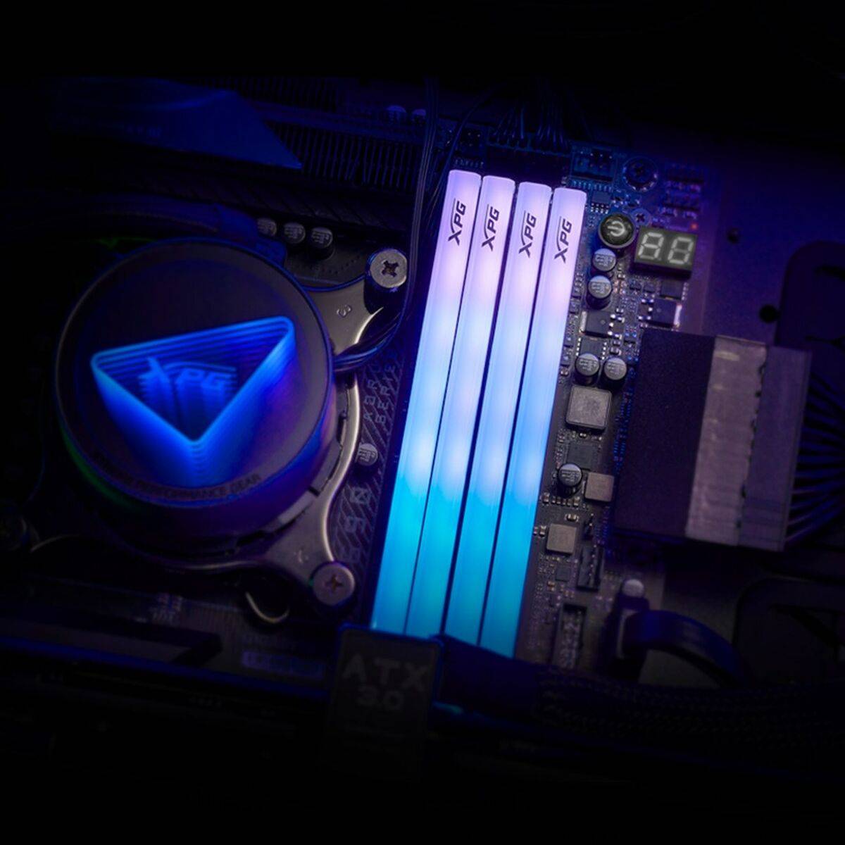 Memoria RAM Adata AX5U6000C3016G-DTLABRWH 32 GB DDR5 6000 MHz cl30