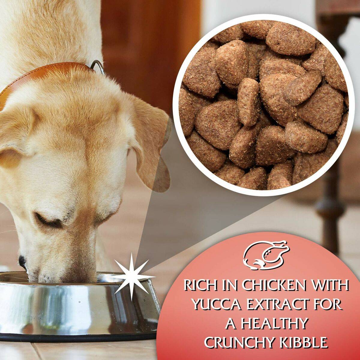 Pienso Glipa Pollo 15 kg 16 Kg
