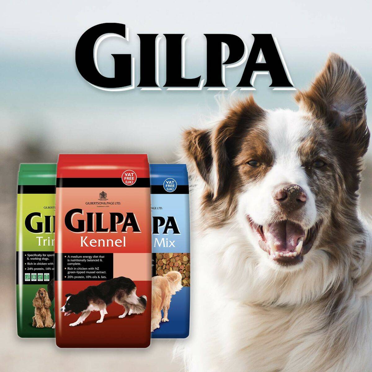 Pienso Glipa Pollo 15 kg 16 Kg