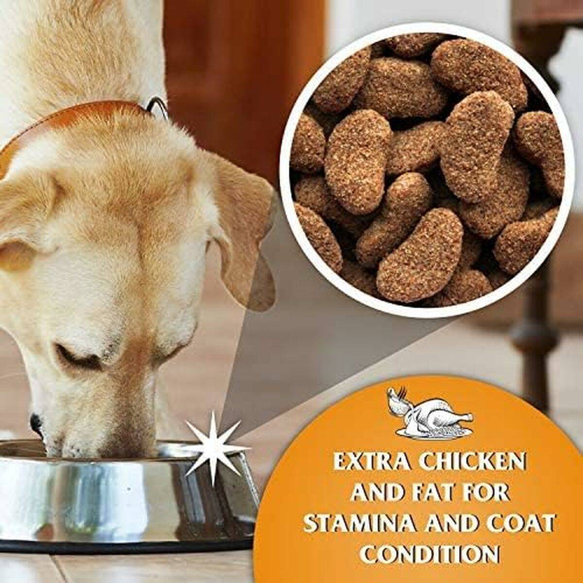 Pienso Dr.John Pollo 15 kg 15 g