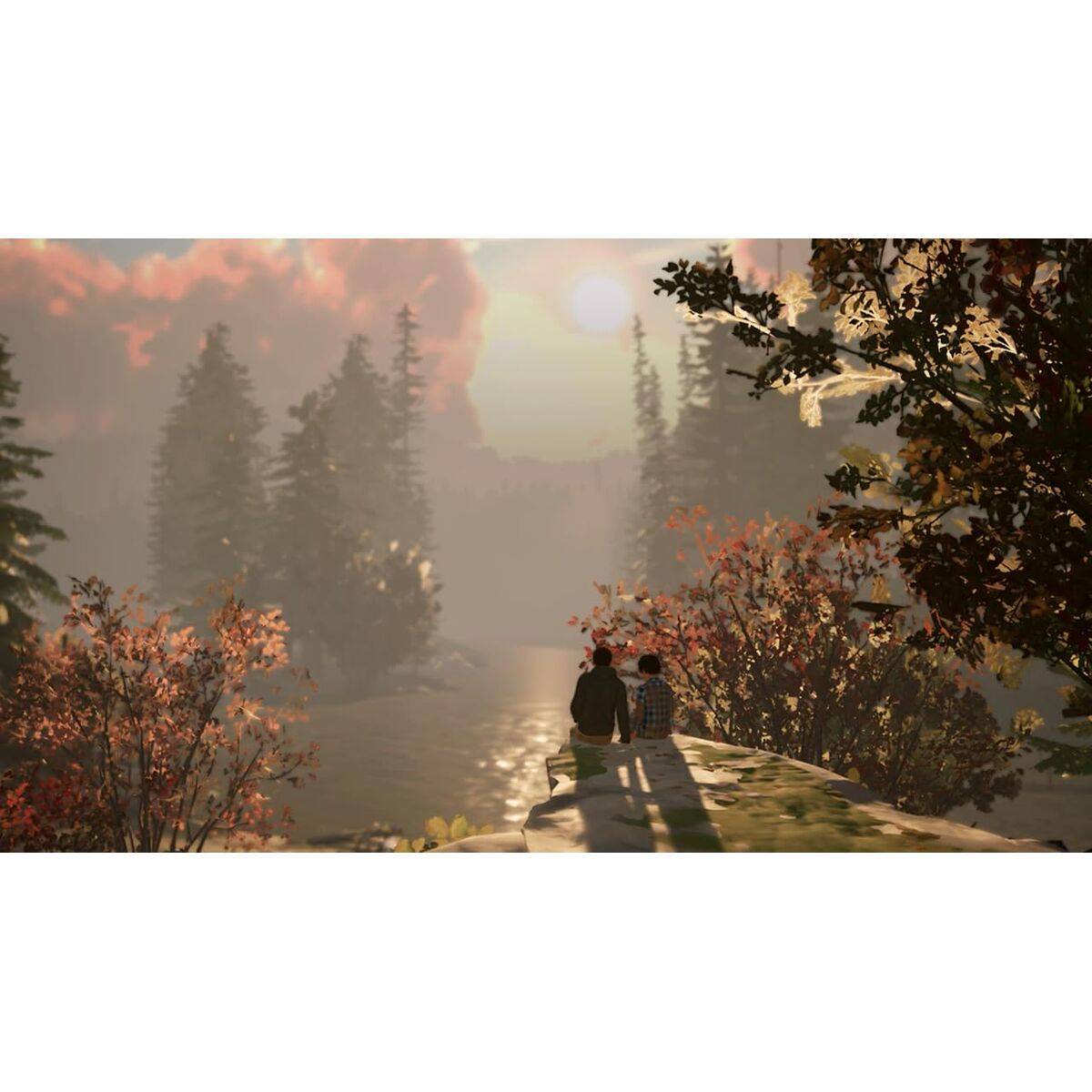 Videojuego para Switch Square Enix Life is Strange 2