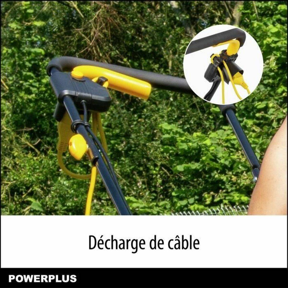 Cortacésped Powerplus POWEG62203 30 L 1000 W 230 V 32 cm 20-70 mm