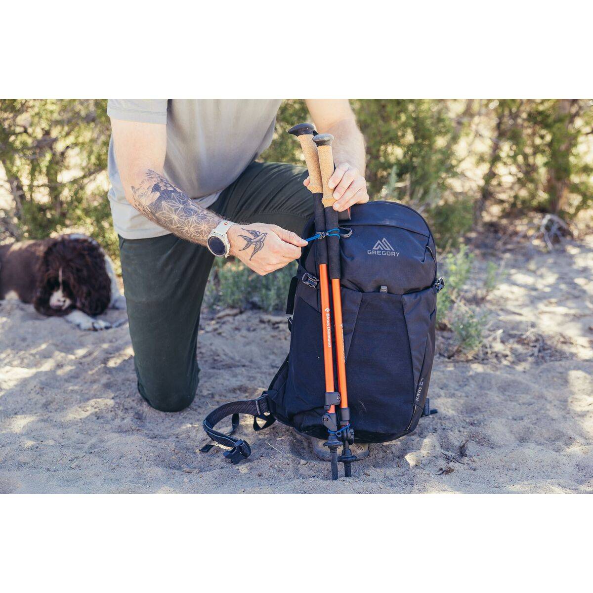 Mochila Deportiva Gregory 153039-A543 Negro 24 L