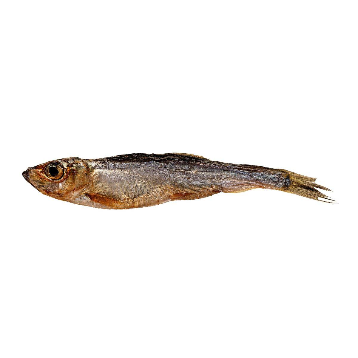 Snack para Perros Petitto Pescado 500 g