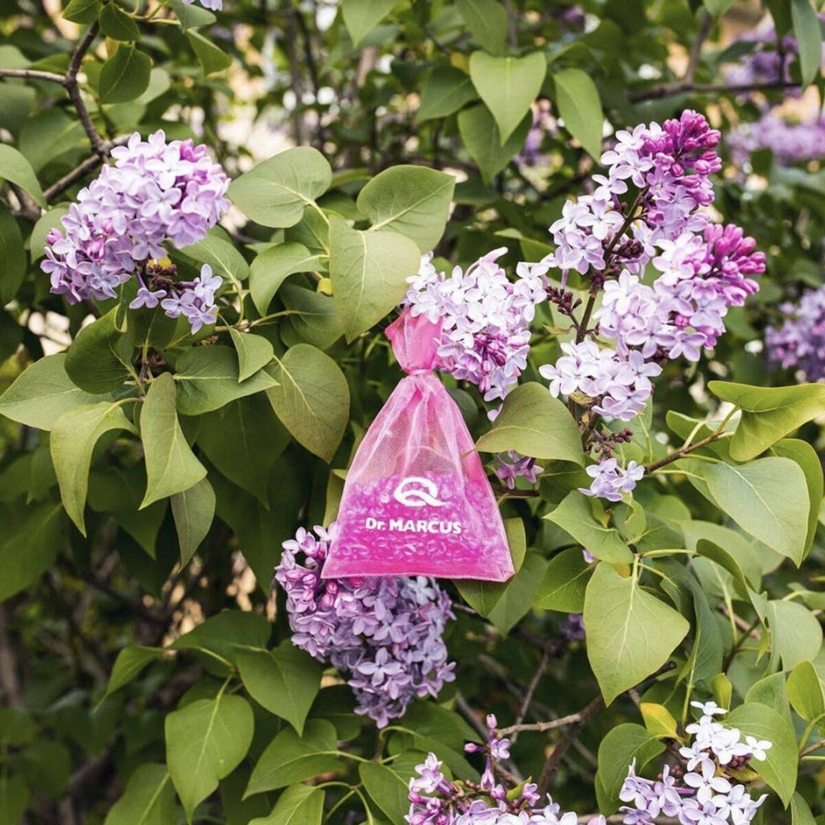 Ambientador para Coche Dr Marcus Fresh Bag Chicle Fragancia Bolsita