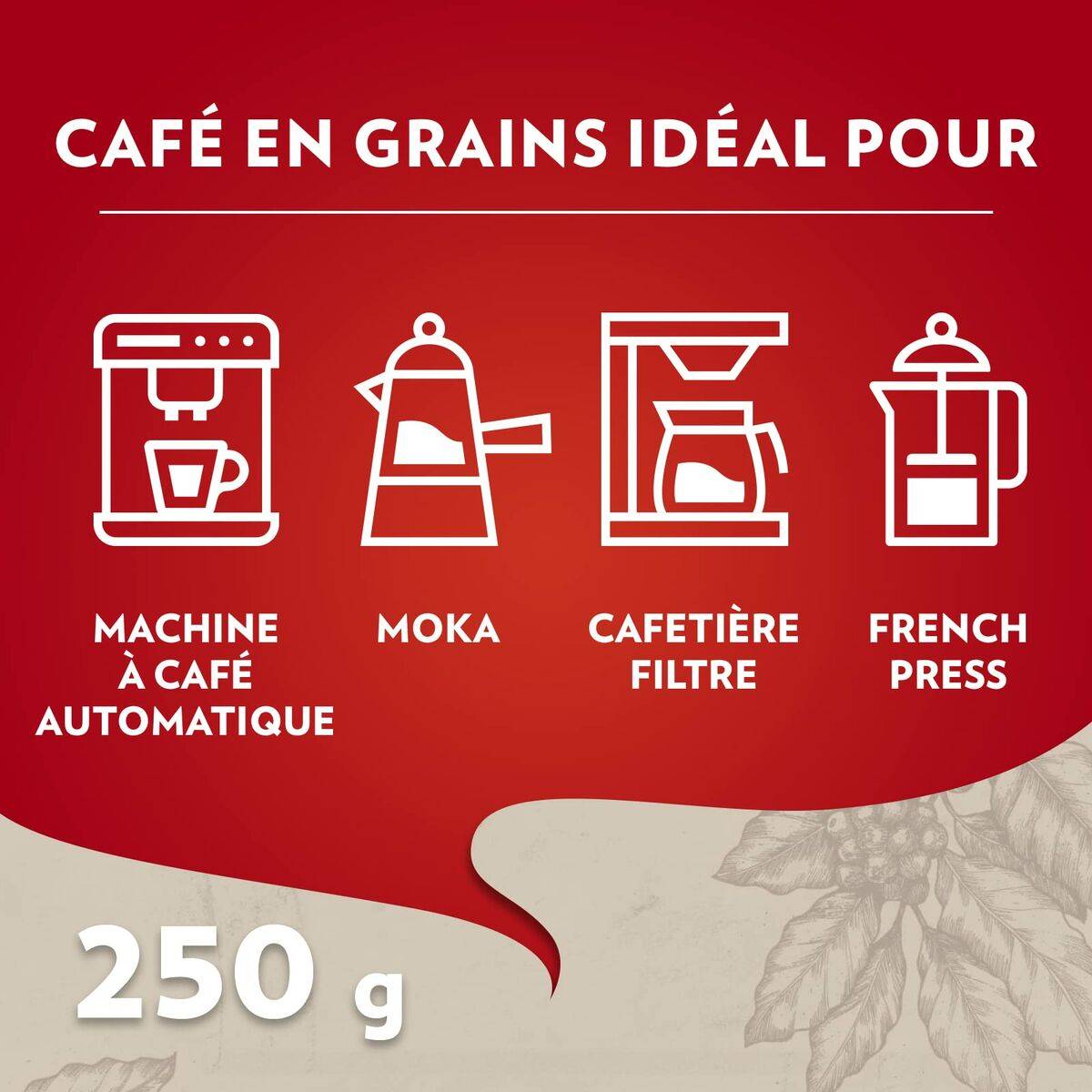 Café en Grano Lavazza 2013