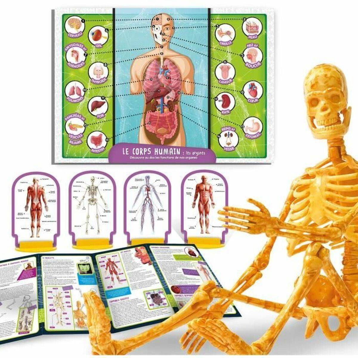 Juego de Ciencia Lisciani Giochi