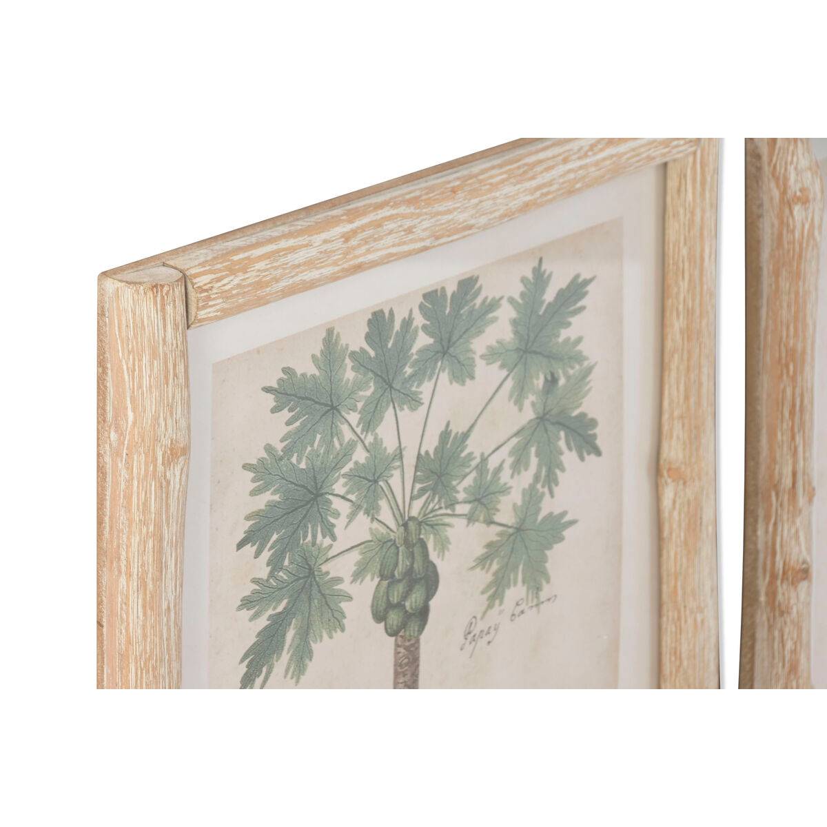 Cuadro Home ESPRIT Cristal Abeto 40 x 3,5 x 50 cm (2 Unidades)