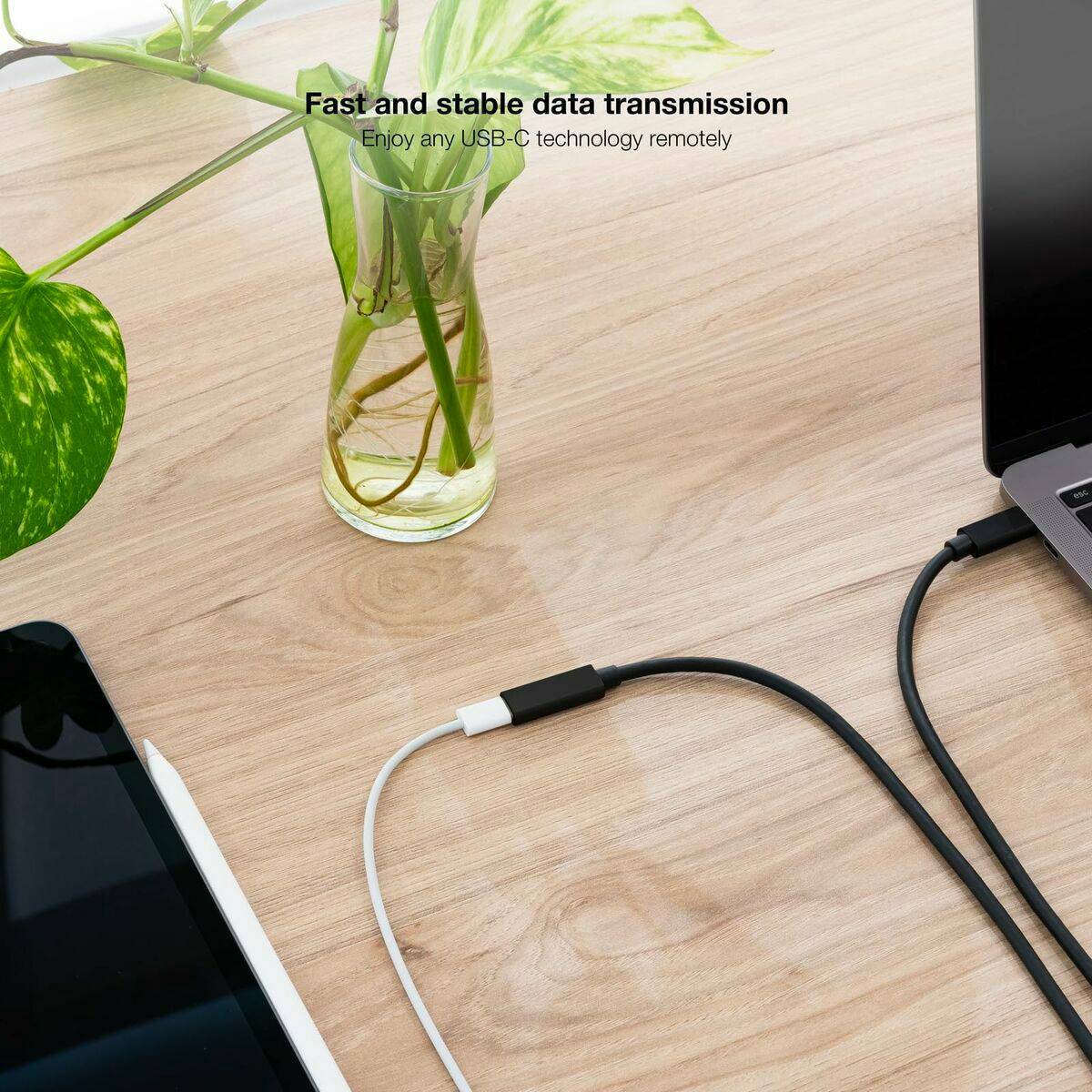 Cable USB NANOCABLE USB 3.2 GEN2x2 Negro