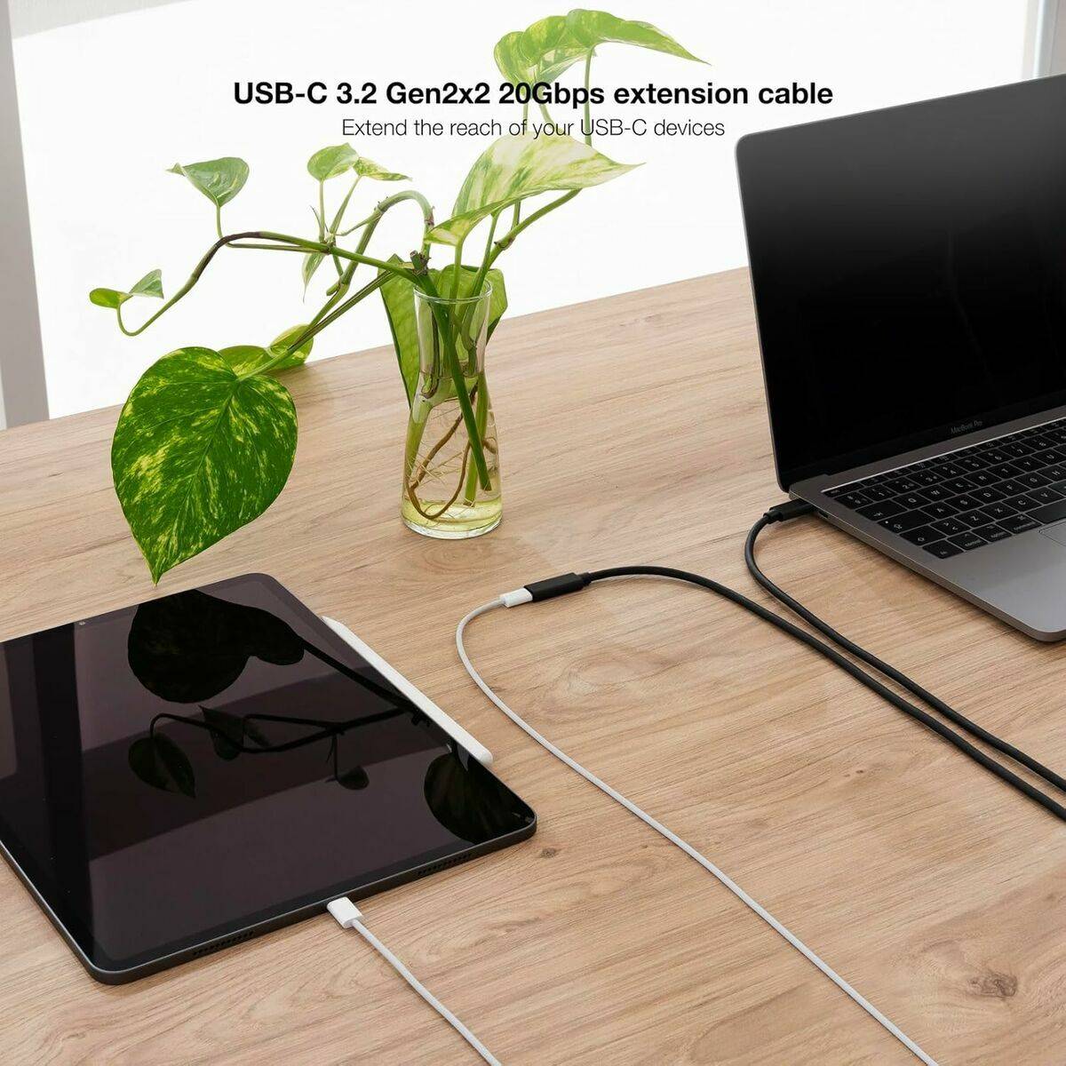 Cable USB NANOCABLE USB 3.2 GEN2x2 100W C/M-H Negro 2 m