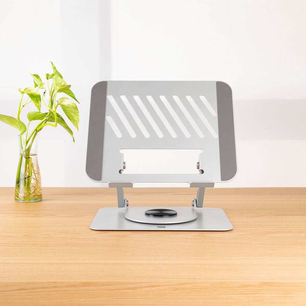 Monitor TooQ PH-DAFNE-S 17" Plateado