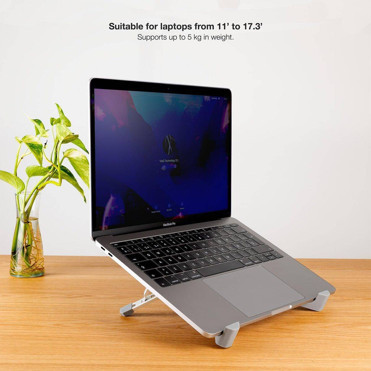 Monitor TooQ TQLRS0036-AL 17,3" Plateado